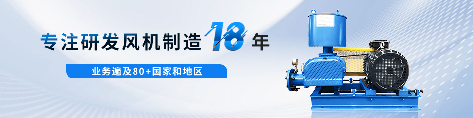 羅茨風(fēng)機(jī) 羅茨風(fēng)機(jī)