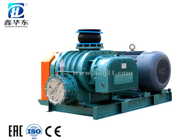 HDSR-80V羅茨真空泵 HDSR-80V羅茨真空泵